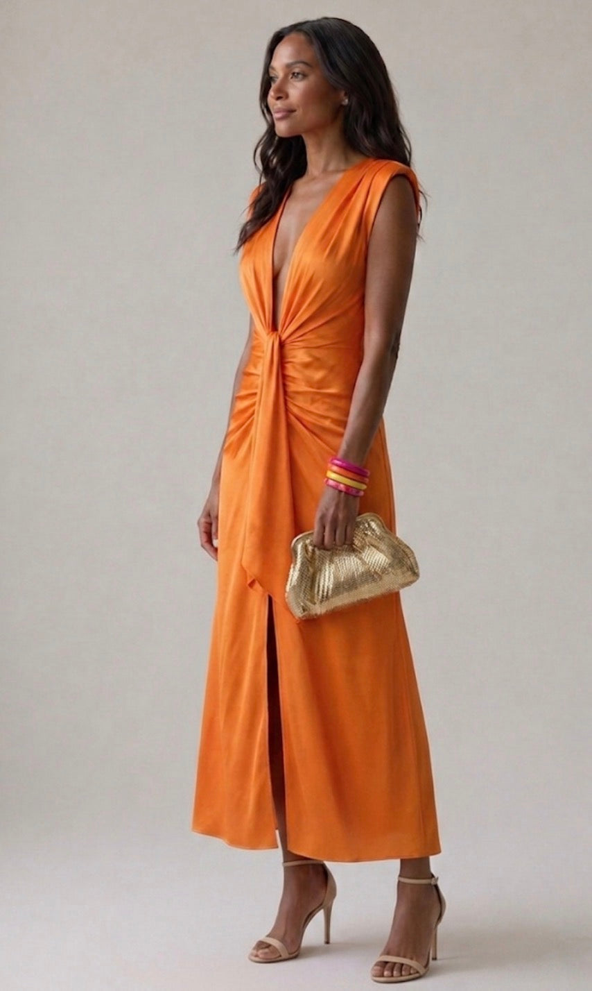 Diane & Susan™ | Elegant Pleated Dress
